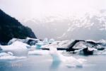 Another picture of the Portage Glacier visitor center glaciers.